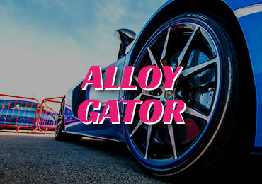 alloy gator